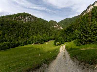 Podžia z Vrchpodžiar